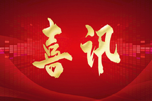 喜讯丨HB火博体育咨询获评台州市第一批服务业领军企业